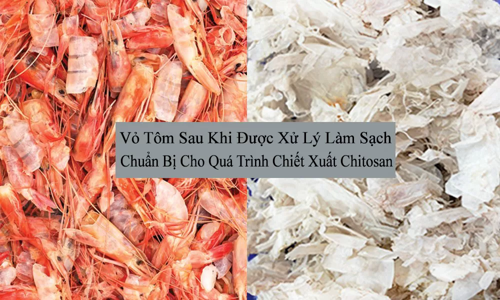 Chitosan – Bước đột phá trong công nghệ sản xuất băng cầm máu